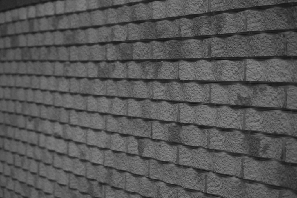 Curved tiles in the Mechanical Engineering auditorium