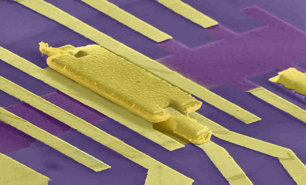 A false-coloured image of a graphene device. Graphene devices are made using electron lithography, where an electron beam is used to draw patterns on a surface. Then metals or other materials are deposited. The dark blue surface is the substrate, the purple region is graphene, and all but the central gold region are contacts through which current passes. The central gold region is a gate, which can apply an electric field on to graphene to change the number of electrons in it (Image: Low-Temperature Nanoelectronics Group, Department of Physics, IISc)