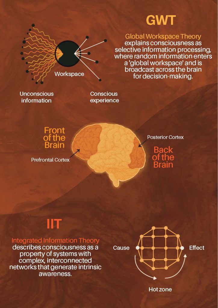 A visual representation of the two leading consciousness theories proposed by neuroscientists (Illustration: Harsh Kapoor)